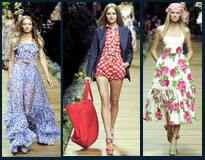 D&G_2011